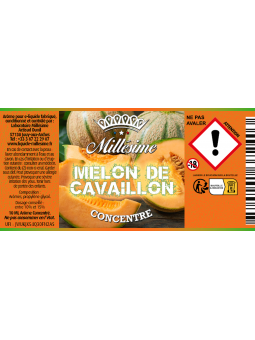 MELON DE CAVAILLON CONCENTRE