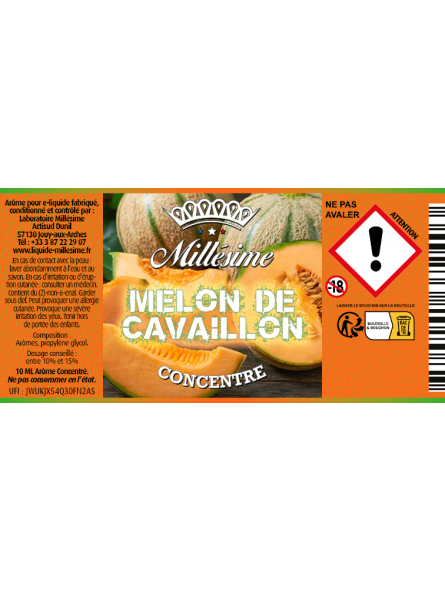 MELON DE CAVAILLON CONCENTRE
