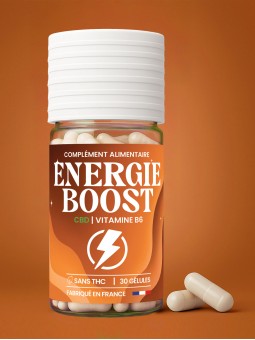 516.GELULES ENERGIE BOOST