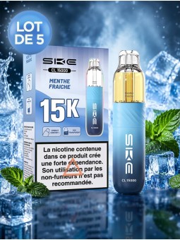 SKE CL15000 Menthe Fraîche - Kit rechargeable, lot de 5