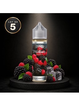 202.BLACKBERRIES 50ML  (Lot de 5)